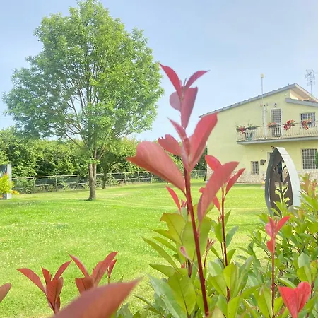 Splendida Con Piscina * Vignanello